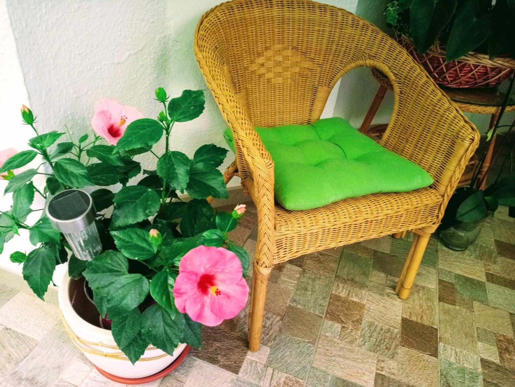 Apartmán La Carihuela A 5 Minutos De La Playavistas Al Mar Torremolinos Exteriér fotografie
