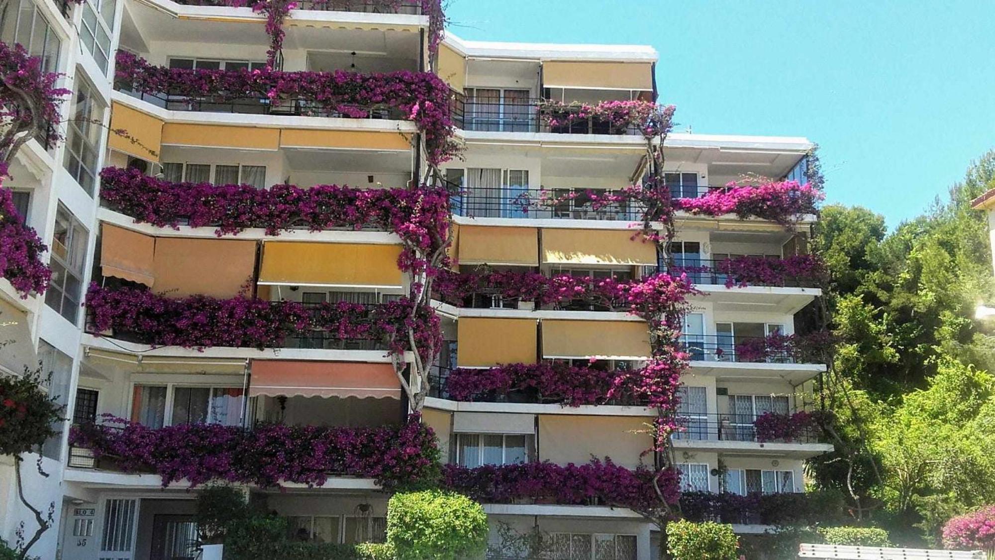 Apartmán La Carihuela A 5 Minutos De La Playavistas Al Mar Torremolinos Exteriér fotografie