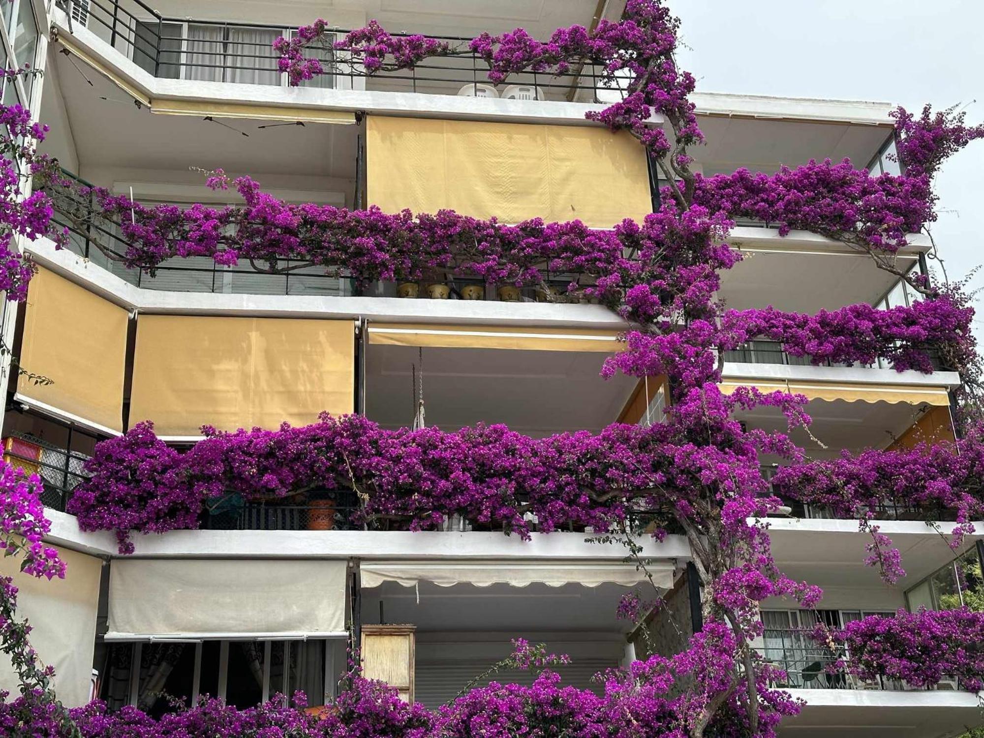 Apartmán La Carihuela A 5 Minutos De La Playavistas Al Mar Torremolinos Exteriér fotografie