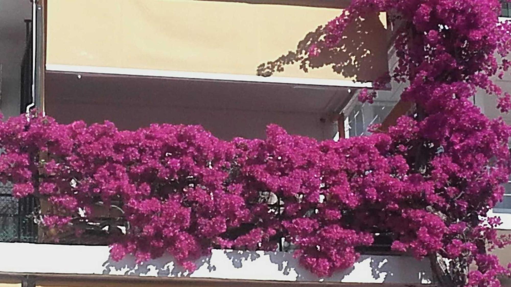 Apartmán La Carihuela A 5 Minutos De La Playavistas Al Mar Torremolinos Exteriér fotografie
